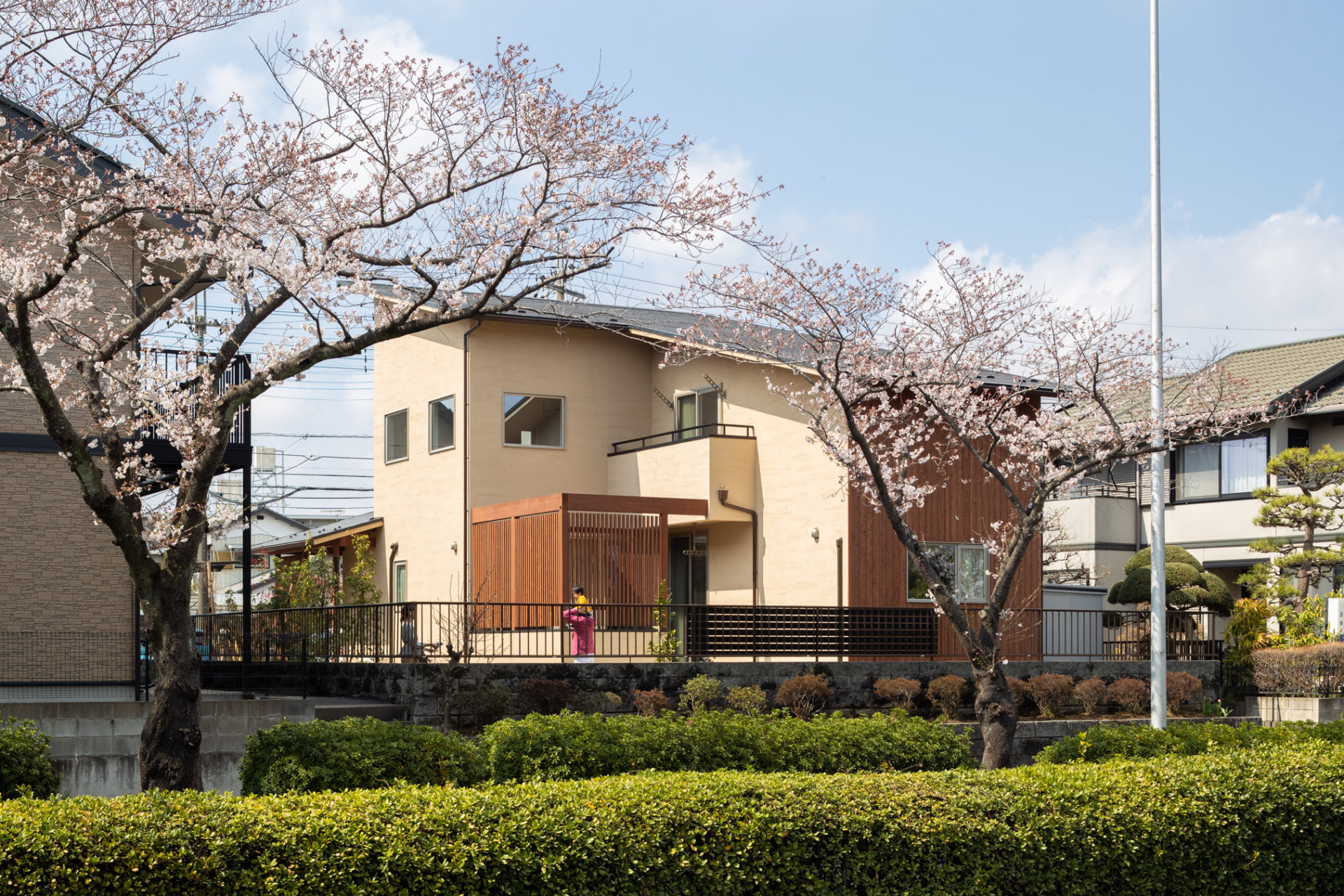 桜並木に佇む家